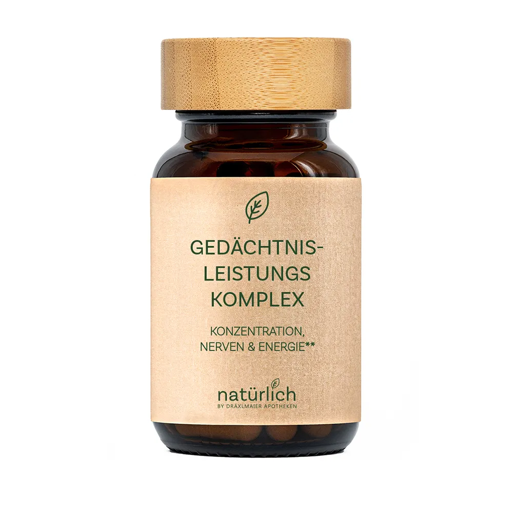 Gedächtnis-Leistungs Komplex